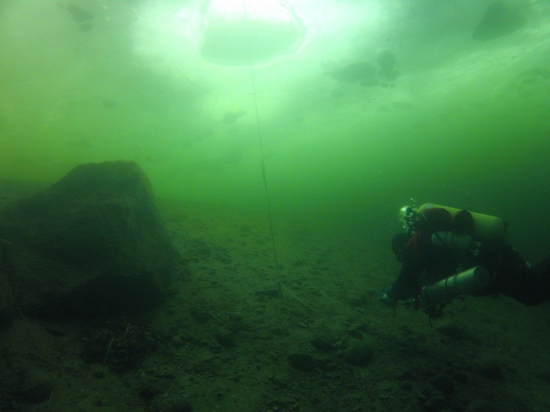 Jedynka ponownie.